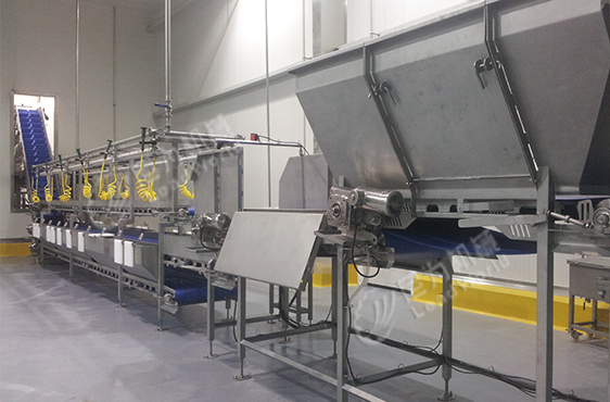 尼為機械鮮切果蔬生產(chǎn)線