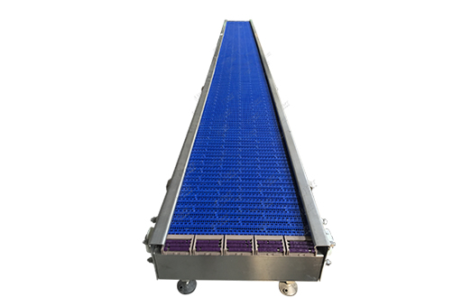 模塊網(wǎng)輸送線